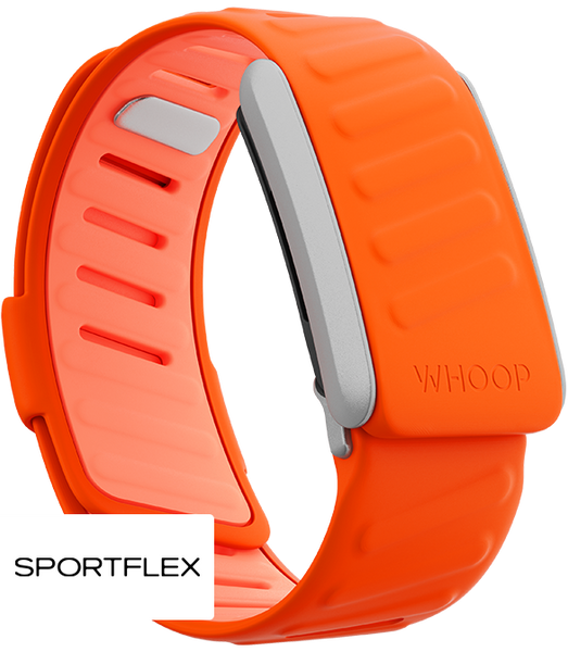 4.0 Surge SportFlex Band