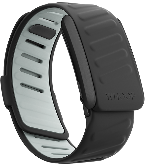 4.0 Force SportFlex Band