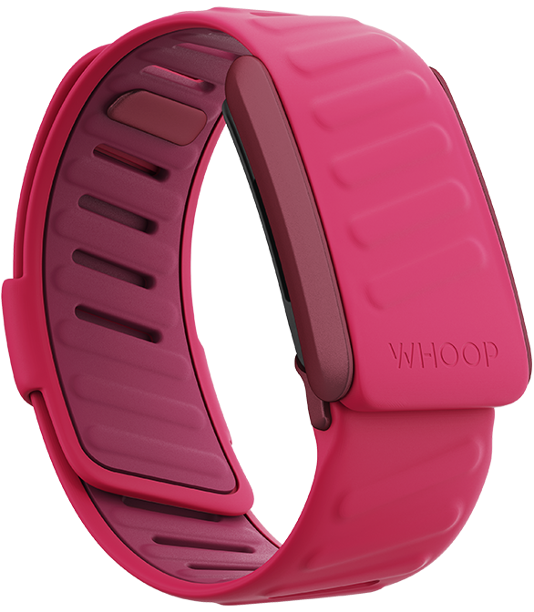 4.0 Pace SportFlex Band