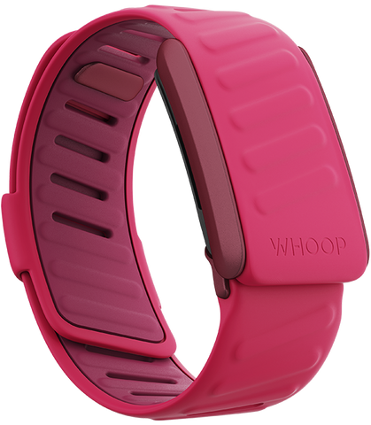 4.0 Pace SportFlex Band