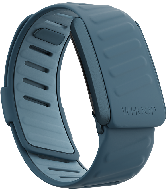 4.0 Dash SportFlex Band