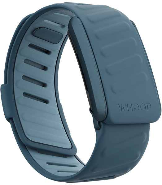 4.0 Dash SportFlex Band