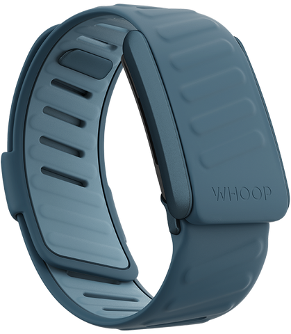 4.0 Dash SportFlex Band