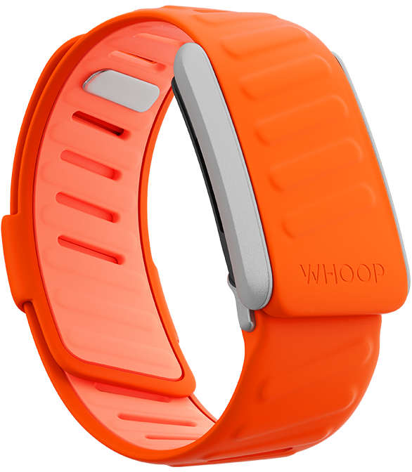 4.0 Surge SportFlex Band