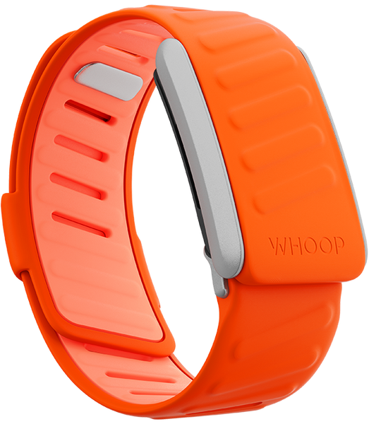 4.0 Surge SportFlex Band