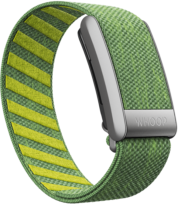 Ace Green SuperKnit Bandws