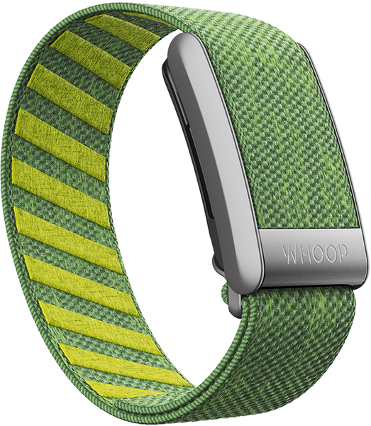 Ace Green SuperKnit Bandws