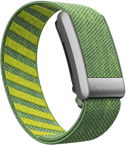 Ace Green SuperKnit Bandws