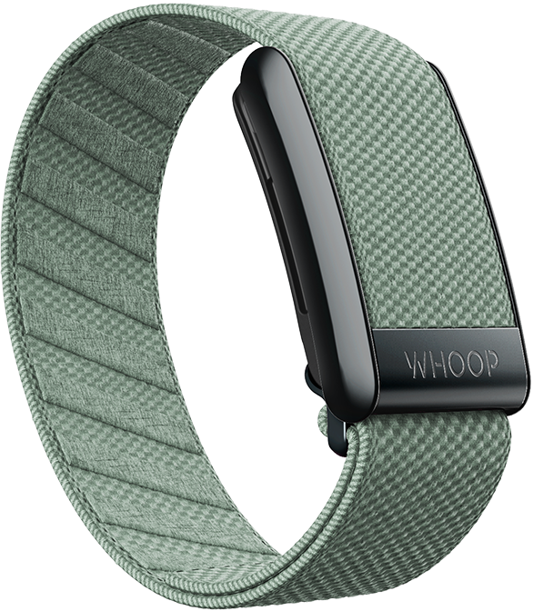 4.0 Sprout SuperKnit Band