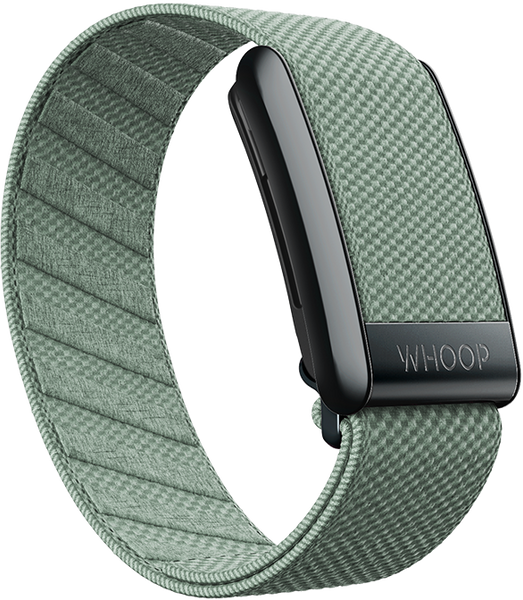 4.0 Sprout SuperKnit Band