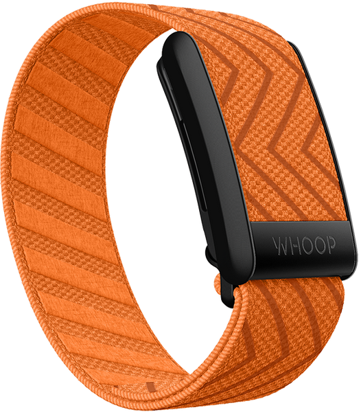 4.0 Tigris SuperKnit Band