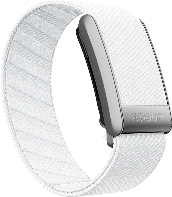 Chalk SuperKnit Band