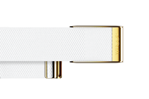 Arctic with Gold SuperKnit Luxe Band