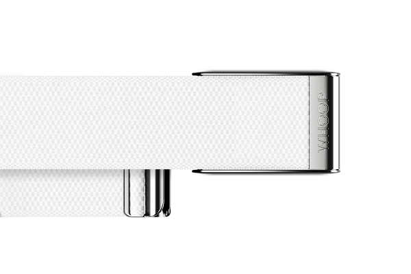Arctic with Platinum SuperKnit Luxe Band