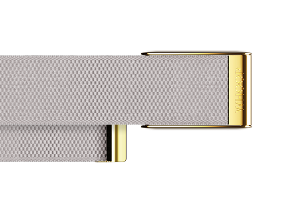 4.0 Champagne with Gold SuperKnit Luxe Band
