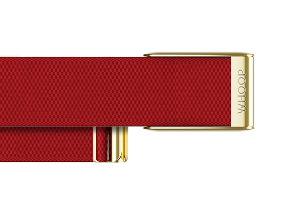4.0 Cranberry with Gold SuperKnit Luxe Band