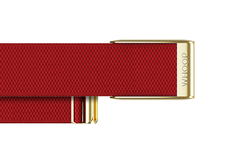 4.0 Cranberry with Gold SuperKnit Luxe Band
