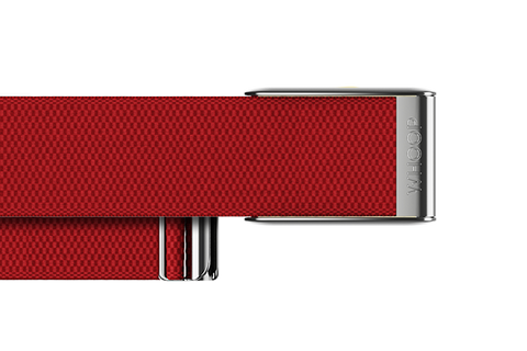 4.0 Cranberry with Platinum SuperKnit Luxe Band