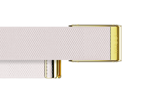 4.0 Champagne with Gold Crystal Luxe Band