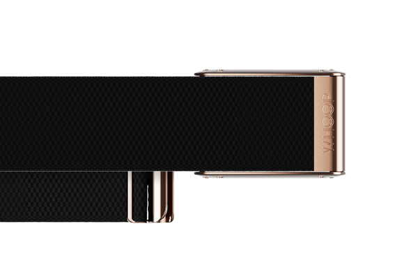 4.0 Onyx with Rose Gold Crystal Luxe Band