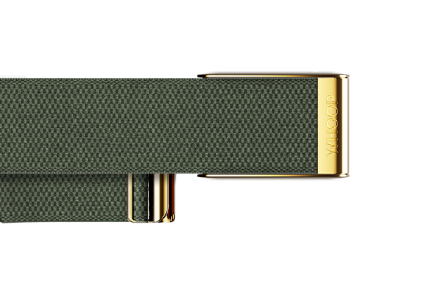 4.0 Ivy with Gold SuperKnit Luxe Band