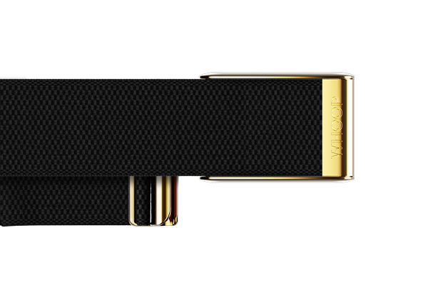 4.0 Onyx with Gold SuperKnit Luxe Band
