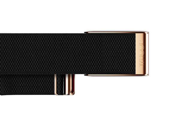 4.0 Onyx with Rose Gold SuperKnit Luxe Band