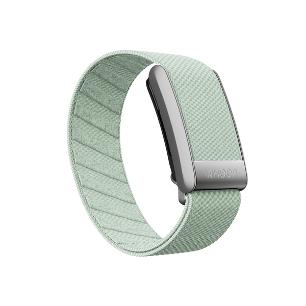 4.0 Lily Pad SuperKnit Band