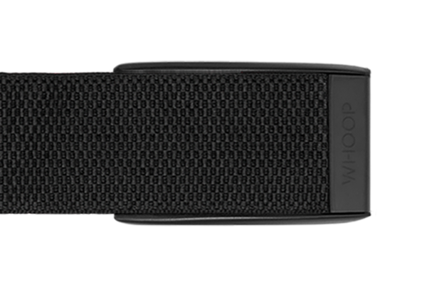 ProKnit Band (with Clasp) 3.0