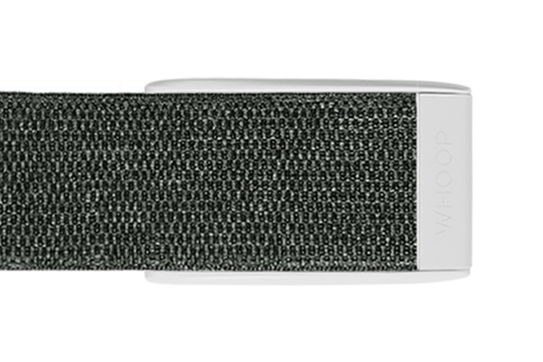 ProKnit Band (with Clasp) 3.0