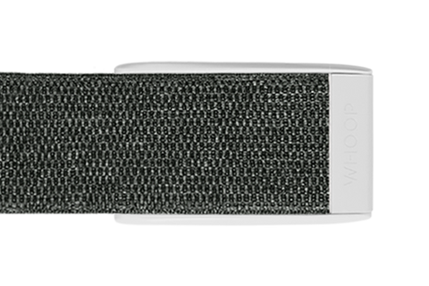 ProKnit Band (with Clasp) 3.0