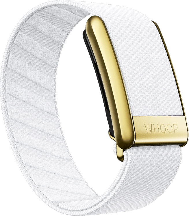 Arctic with Gold SuperKnit Luxe Band