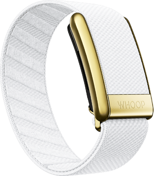 Arctic with Gold SuperKnit Luxe Band