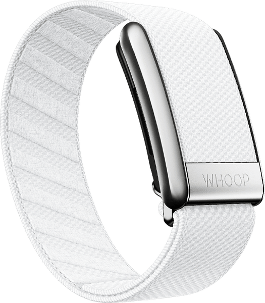 Arctic with Platinum SuperKnit Luxe Band