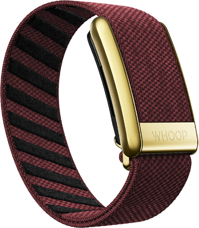 4.0 Ember with Gold SuperKnit Luxe Band
