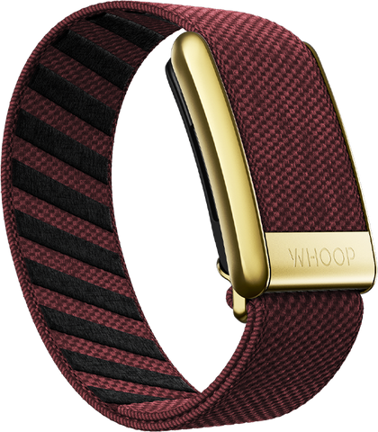 4.0 Ember with Gold SuperKnit Luxe Band