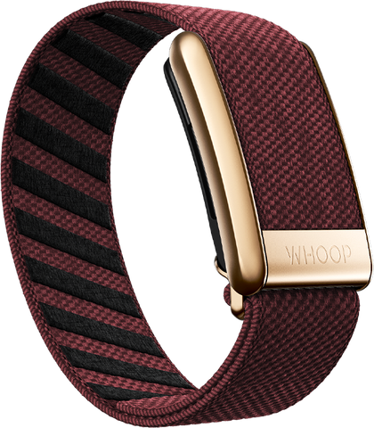 4.0 Ember with Rose Gold SuperKnit Luxe Band