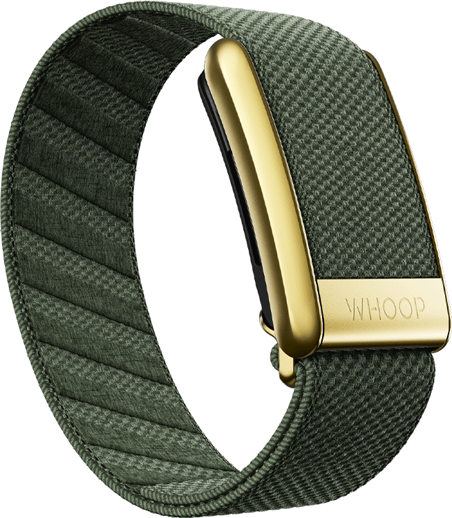 4.0 Ivy with Gold SuperKnit Luxe Band