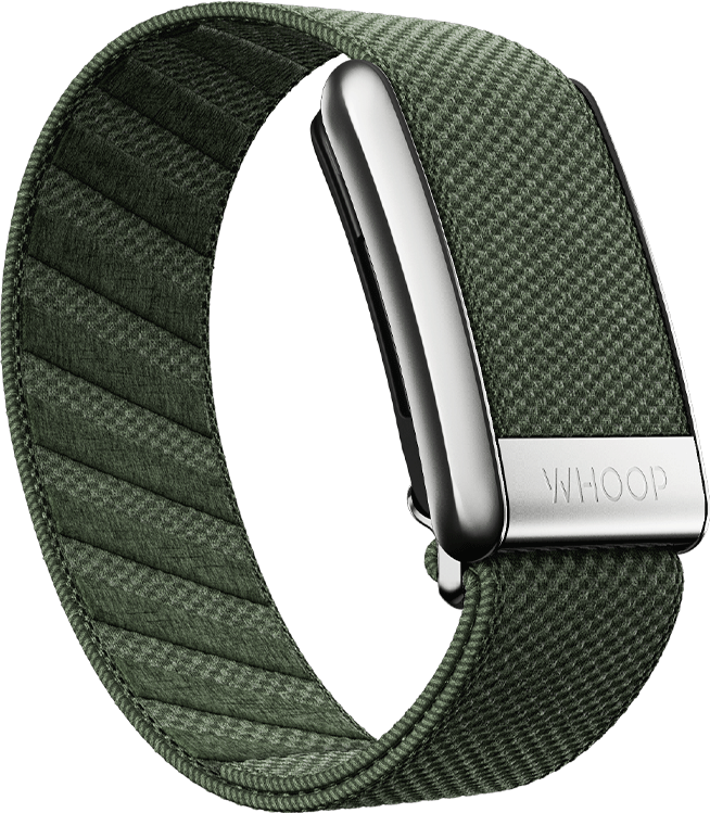 4.0 Ivy with Platinum SuperKnit Luxe Band