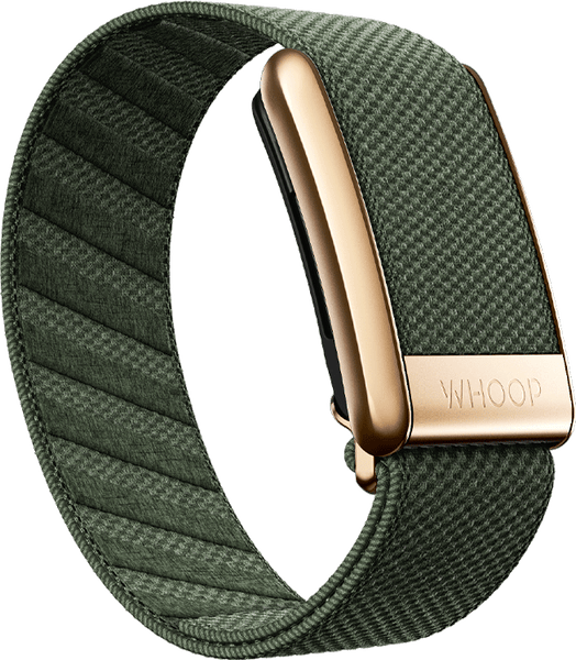 4.0 Ivy with Rose Gold SuperKnit Luxe Band