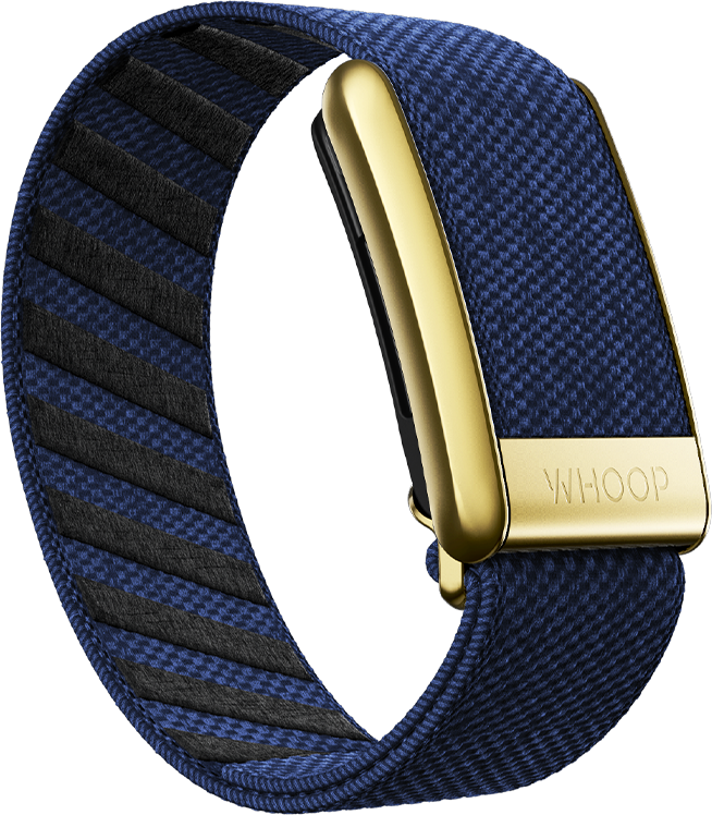 4.0 Midnight with Gold SuperKnit Luxe Band