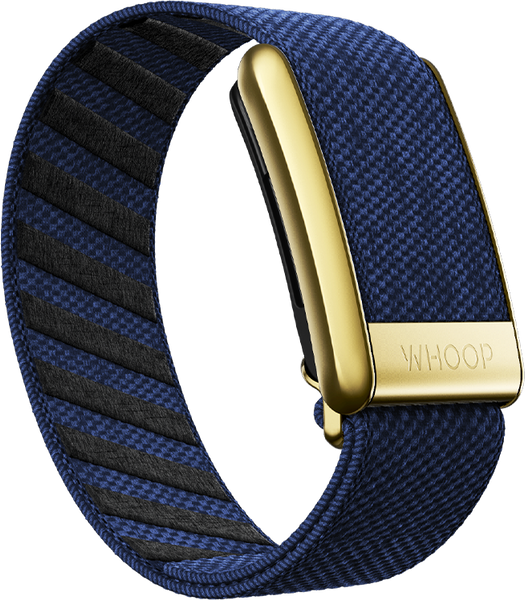 4.0 Midnight with Gold SuperKnit Luxe Band