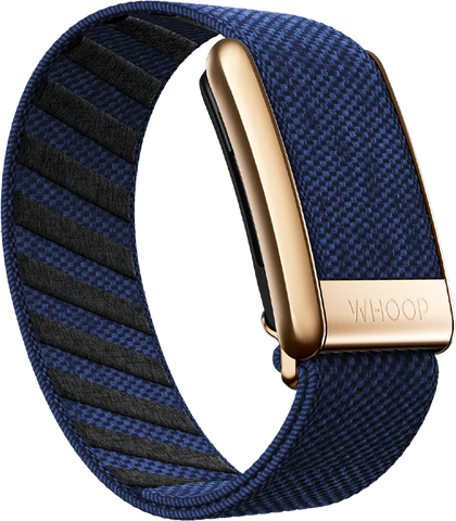 4.0 Midnight with Rose Gold SuperKnit Luxe Band