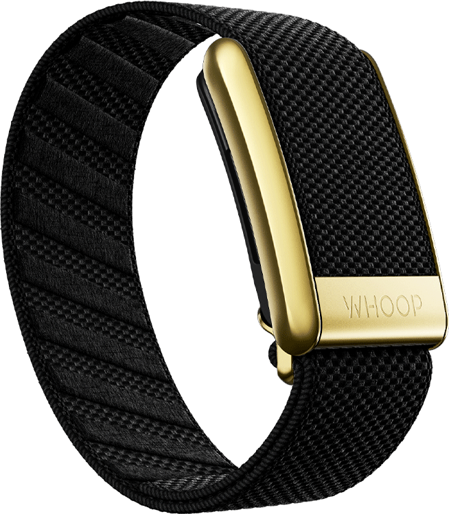 4.0 Onyx with Gold SuperKnit Luxe Band