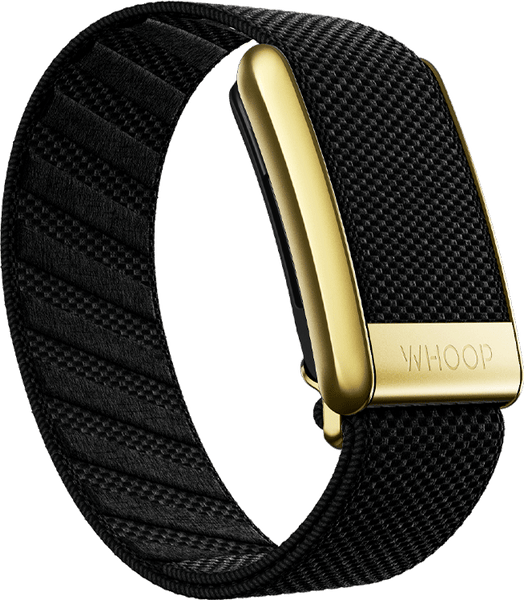 4.0 Onyx with Gold SuperKnit Luxe Band