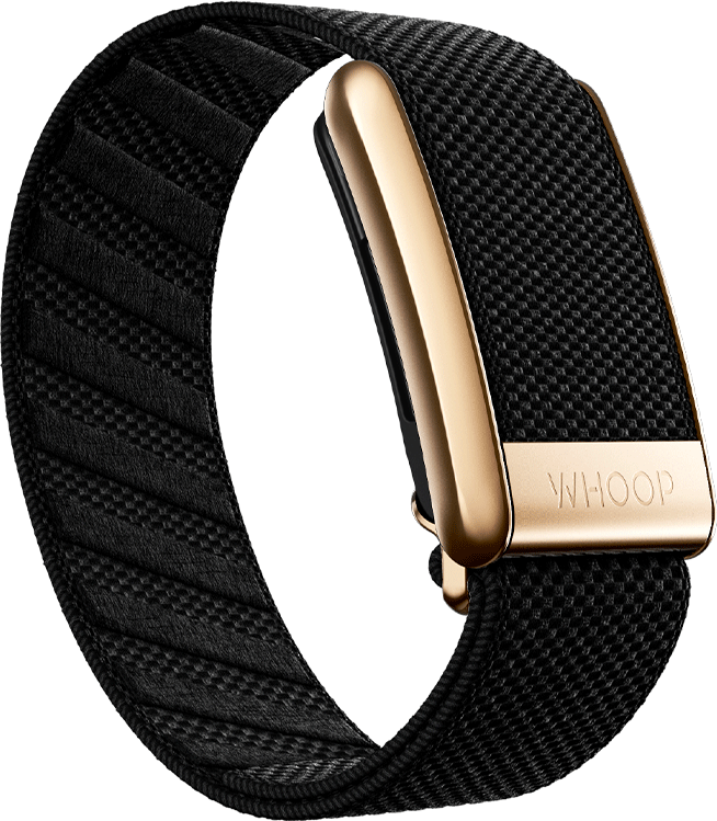 4.0 Onyx with Rose Gold SuperKnit Luxe Band