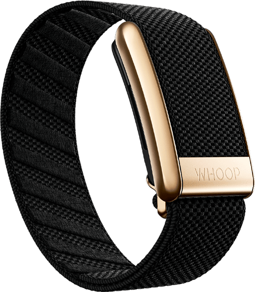 4.0 Onyx with Rose Gold SuperKnit Luxe Band