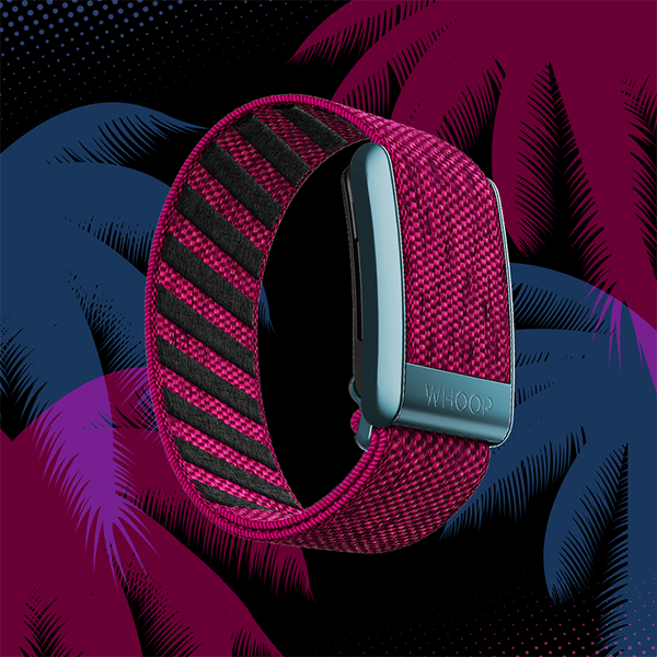 4.0 Miami Night SuperKnit Band