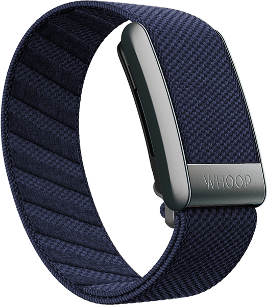 4.0 Blue Jay Supernit Band