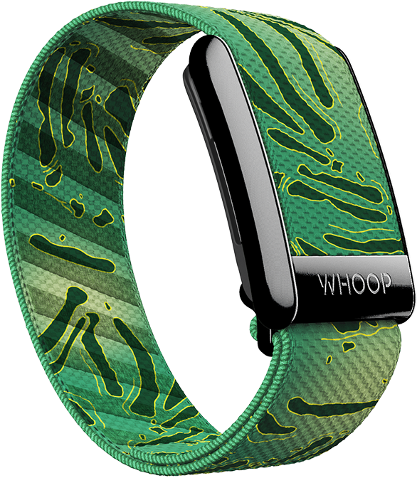 4.0 Caddy Superknit Band